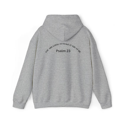 Psalm 23 Hooded Sweatshirt